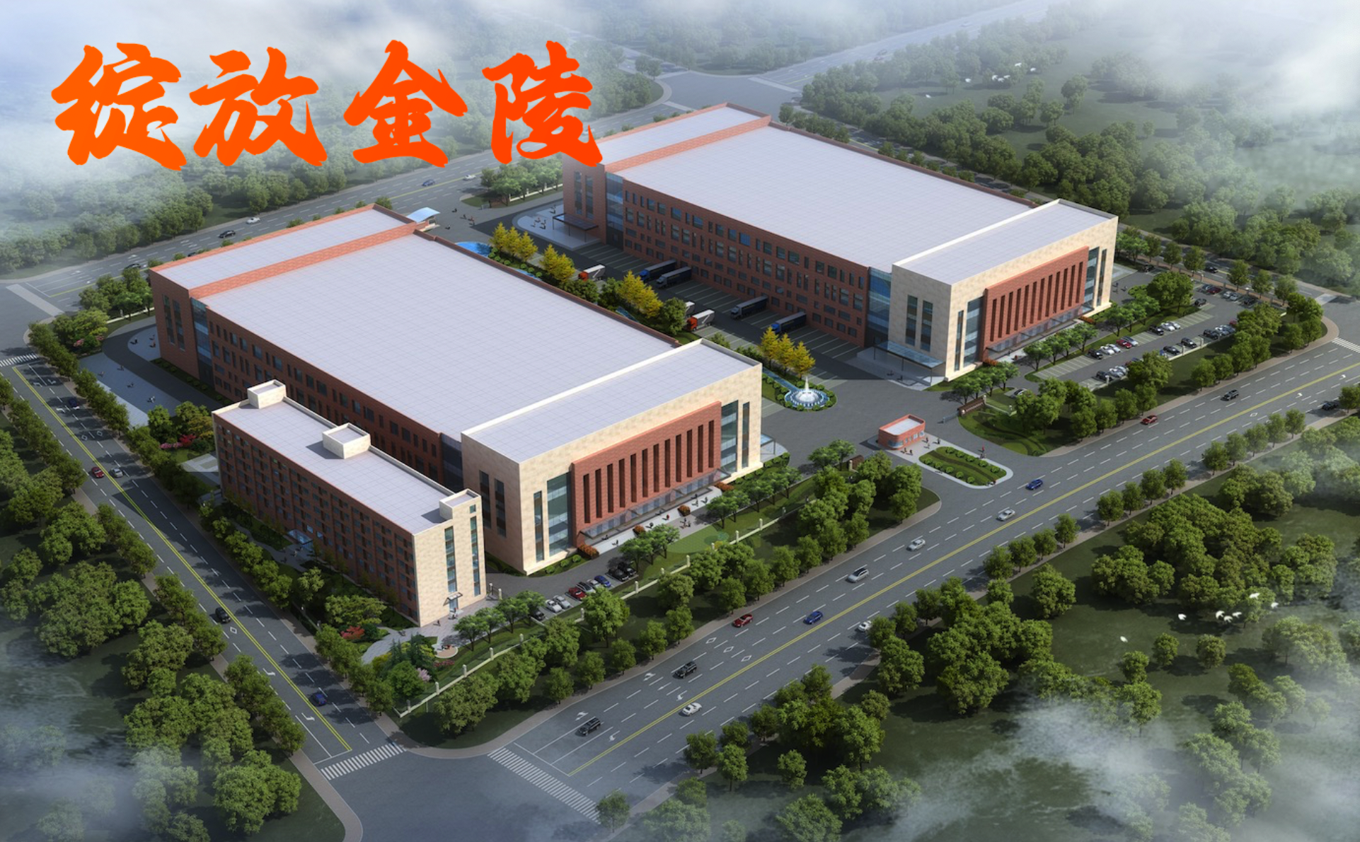 綻放金陵